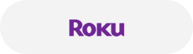Roku Icon